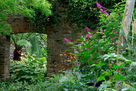 Abbotsbury Subtropical Gardens