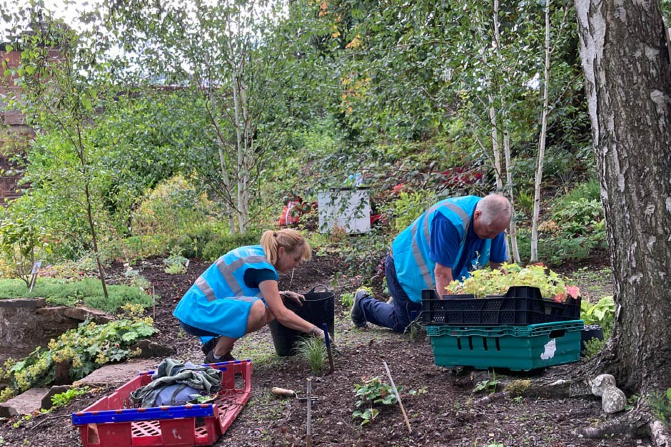 Find out more about Britain in Bloom