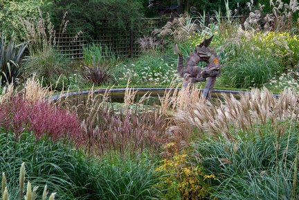 Grasses at Knoll Gardens Dorset