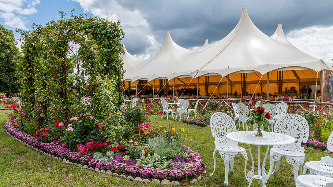 RHS Rose Tea Garden