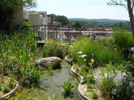 Roof gardens and balconies