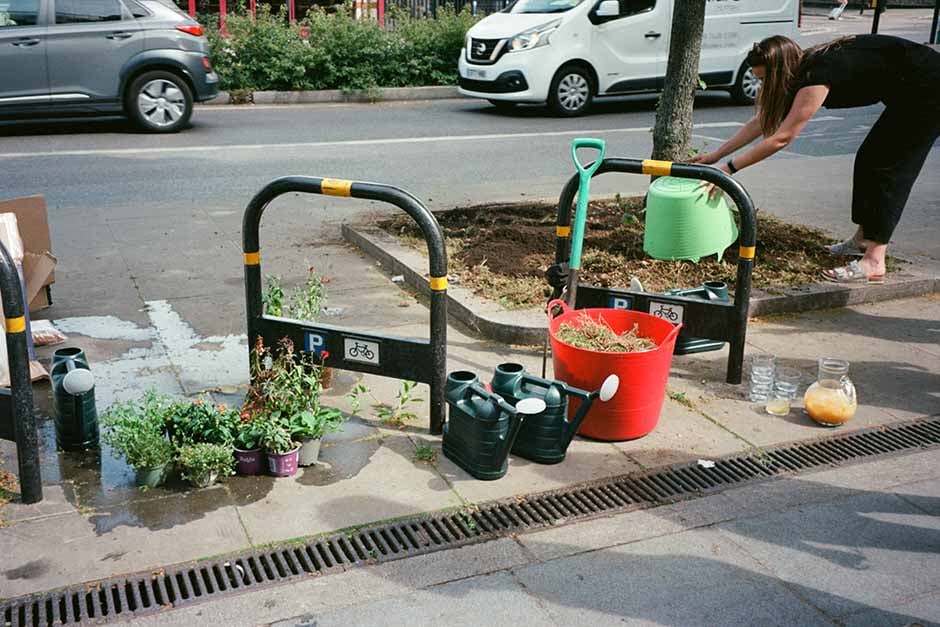 Guerrilla gardening