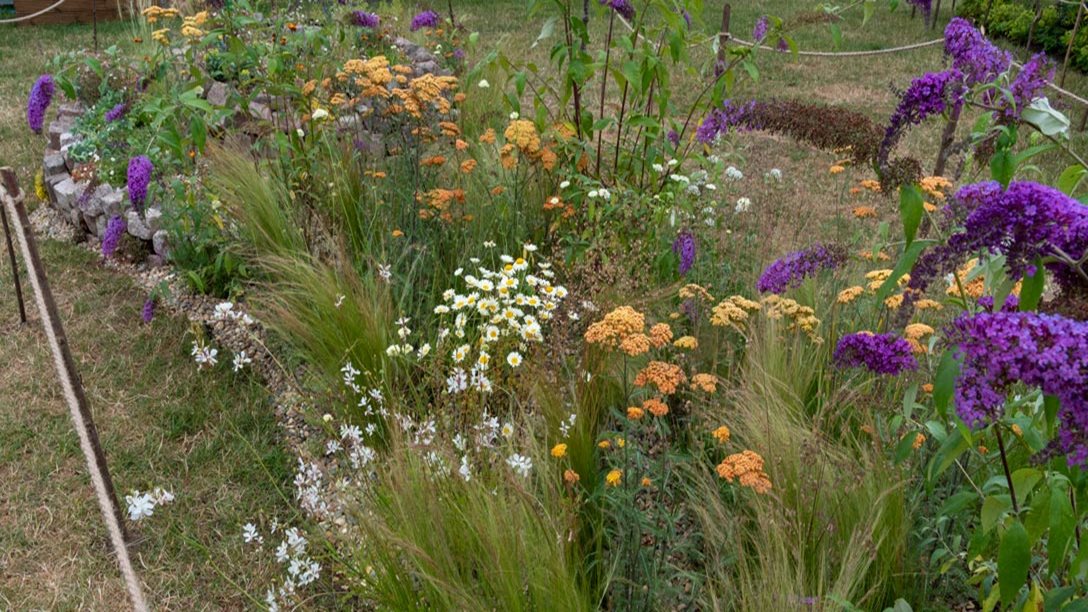 University of Sheffield: Beautifully Stressed Garden