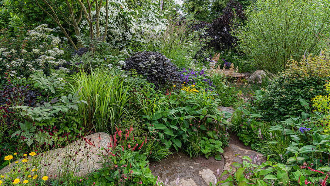 RHS Garden For A Green Future