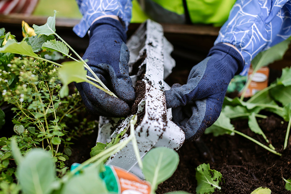 &ldquo;Everyone is&nbsp;very welcoming and friendly, Wisley is a beautiful place of work. It is great to see the garden out of hours and getting a feel for what it is like to work here.&rdquo;